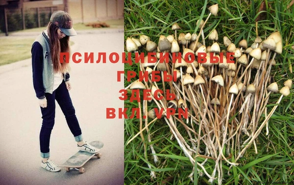 МДМА Белокуриха