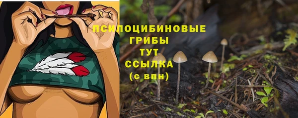 2c-b Балахна